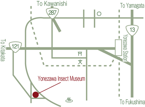 Yonezawa Insect Museum.jpg