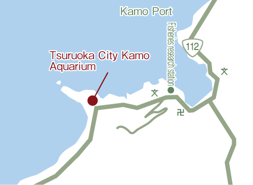 Tsuruoka City Kamo Aquarium.jpg