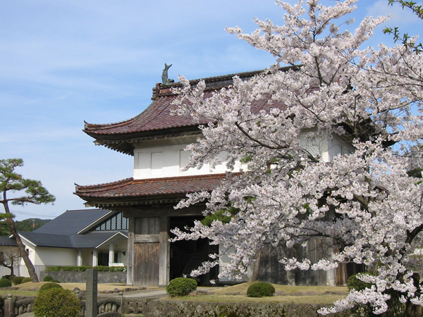 大手門と伝承館600.jpg