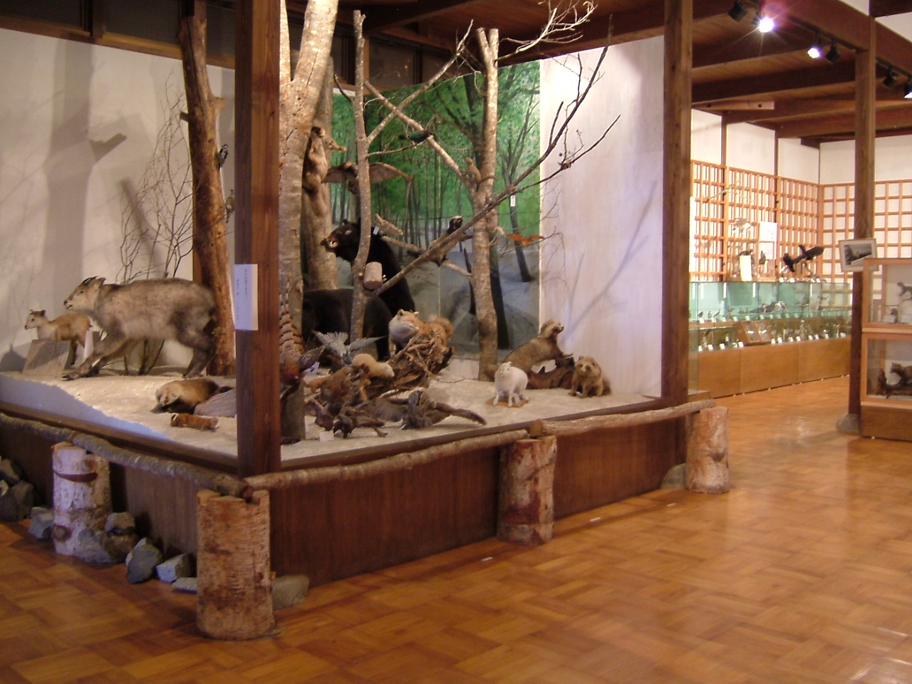 大井沢自然博物館100_0059.JPG