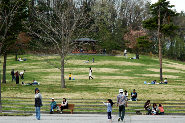 野草の丘 1（5月3日）600.jpg