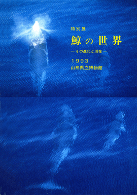 鯨の世界-270.gif